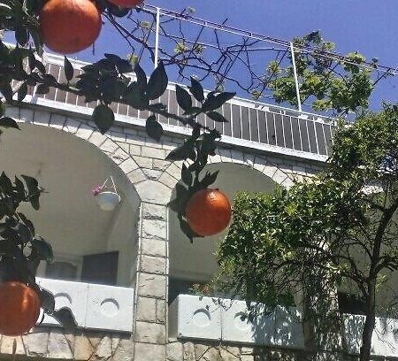 House Orange Apartments Herceg Novi Dış mekan fotoğraf
