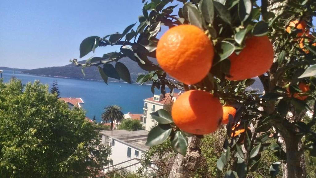 House Orange Apartments Herceg Novi Dış mekan fotoğraf