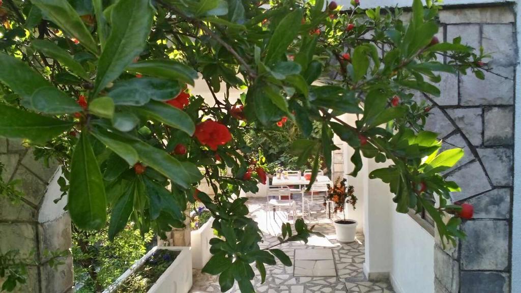 House Orange Apartments Herceg Novi Dış mekan fotoğraf