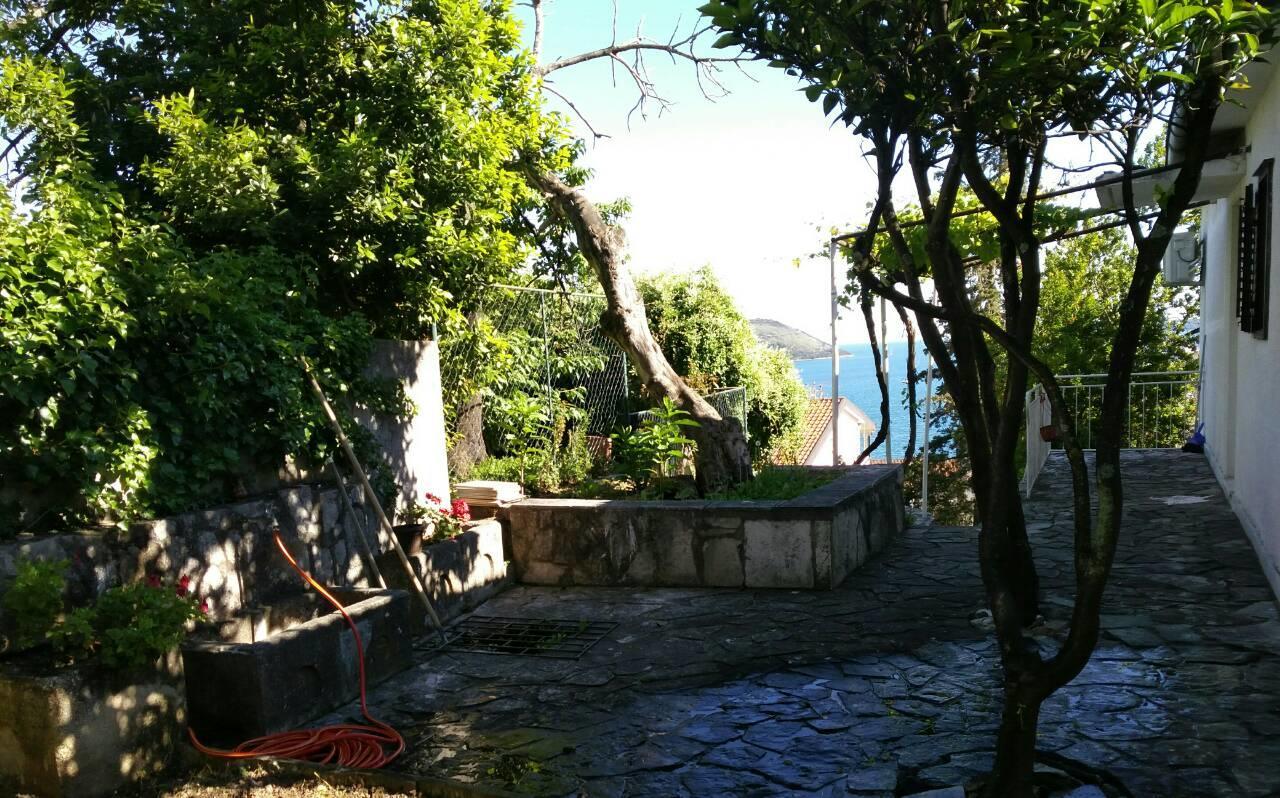 House Orange Apartments Herceg Novi Dış mekan fotoğraf
